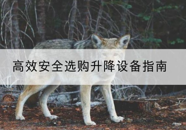 望都升降货梯厂家推荐-*安全选购升降设备指南