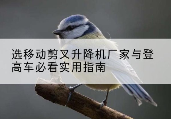 望都电动升降机厂家-选移动剪叉升降机厂家与登高车必看实用指南