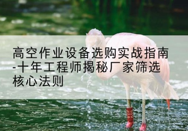 望都剪叉式升降机厂家-高空作业设备选购实战指南-十年工程师揭秘厂家筛选核心法则